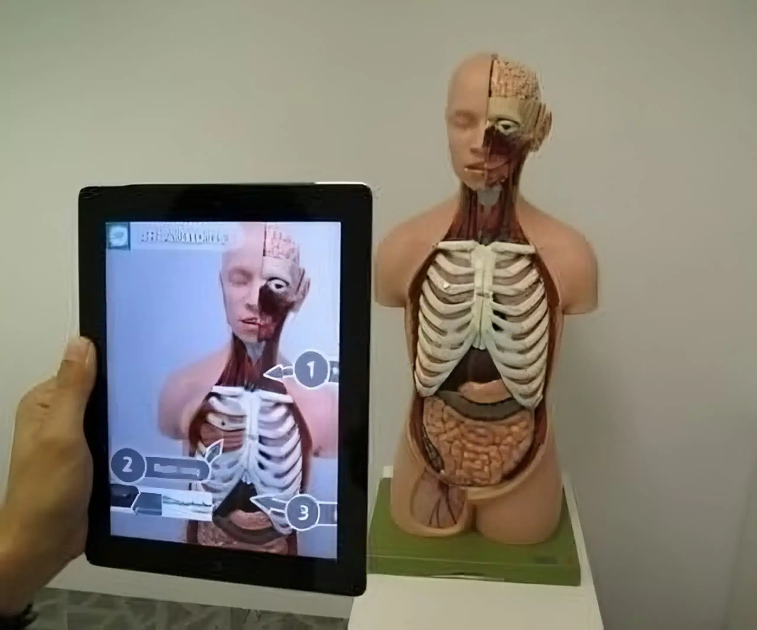 resize augmented reality medizin 720x600 1 300x250 transformed jpg webp